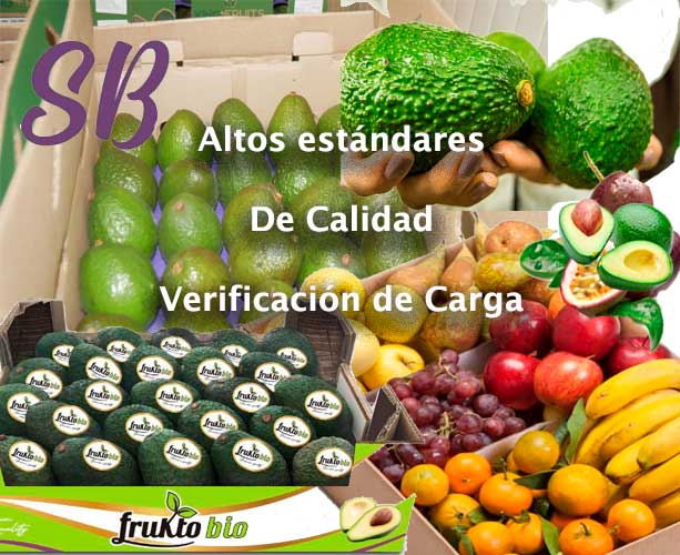 Verificación de Carga - Calidad